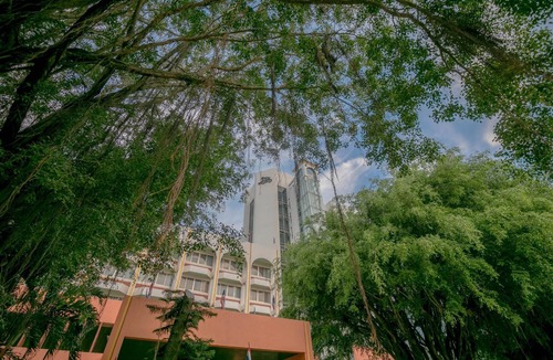 Ban Pa Yang Hotel | Wangtai Hotel