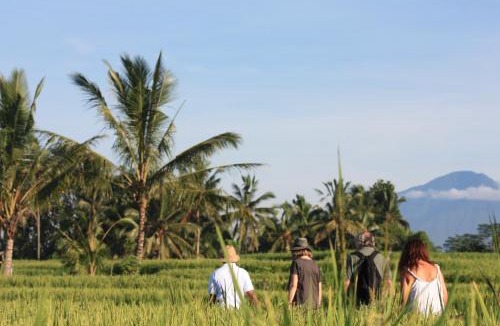 Ubud Resort | Wapa di Ume Ubud
