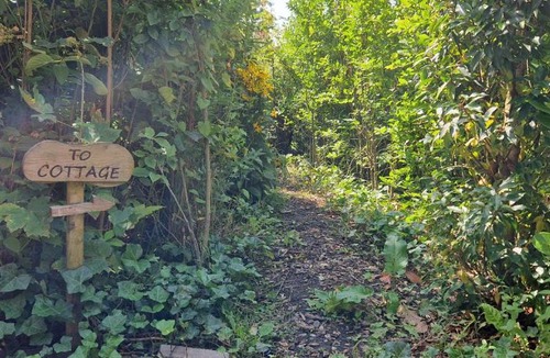 Boeicop House | Water & Meadow cottage in Central Holland 2A & 2C