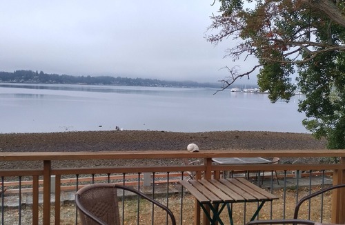Bremerton House | WATERFRONT amazing views: ferries, sailboats, wildlife! Close to shops, bus stop
