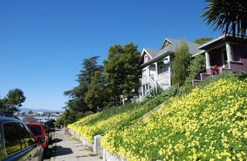 Vallejo House | Waterfront Boutique Bungalow 1-Walk to Ferry to San Francisco, Free WIFI Parking