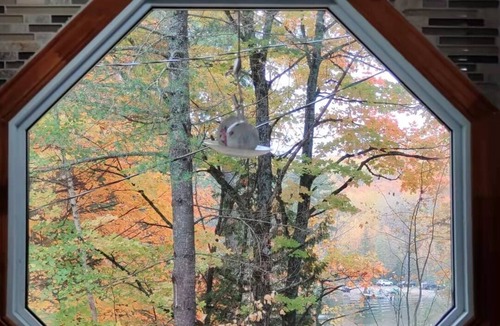 McArthurs Mills Cottage | Waterfront Cottage - Clear Lake STARLINK internet Crown Land Great Hike Fishing