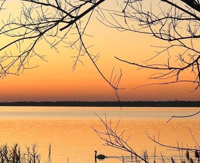 Shirley House | Waterfront Designer Retreat! Stunning Sunsets! Less than 5 minutes to the beach!