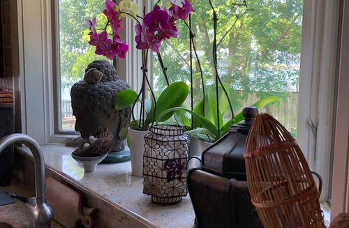 Salem House | Waterfront Downtown Salem Home in Historic New England - 35 minutes to Boston