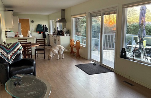 Brew Bay House | Waterfront Home! EV charger & Pet Friendly too :)