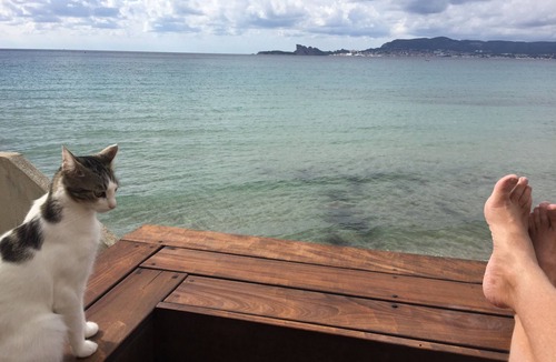 Saint-Cyr-sur-Mer House | Waterfront house in the extension of Les Lecques beach.