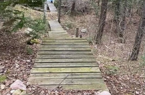 Lakewood Cabin | Waterfront Peninsula Escape Cabin