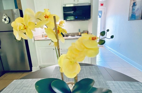 Dunedin Condo | Waterfront Resort Condo – Clearwater Beaches & Honeymoon Island, Sunset, Bikes