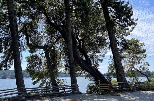 Sooke Hotel | Waterfront Studio Unit with Beach Access - Sleeps 2