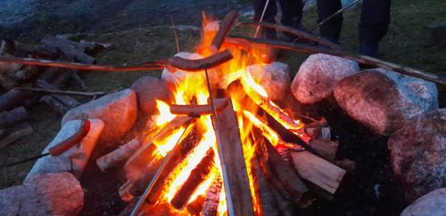 Bjørheimsbygda Other | Wathne Camping