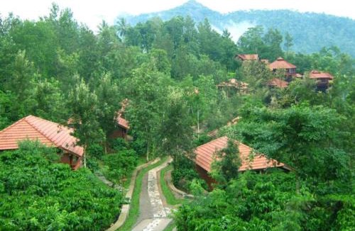 Kolagappara Resort | Wayanad Heritage Pool Resort