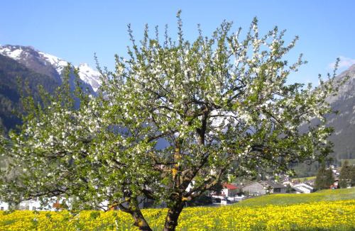 Trins House | Weberhof