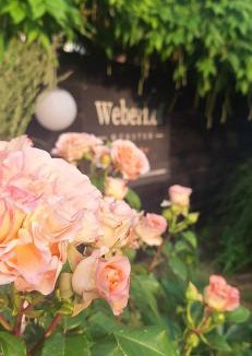 Munster Other | Weberhof-Münster Glamping