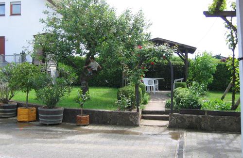 Osann Apartment | Weingut Arnold Pauly