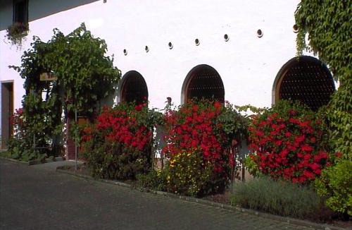Osann Apartment | Weingut Arnold Pauly