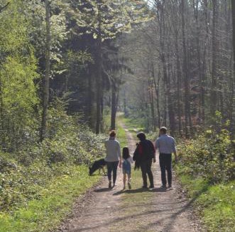 Lieser Bed & Breakfast | Weingut H. Gindorf
