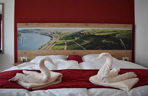 Mainz-Bingen Apartment | Weingut Lindenhof Kröhler