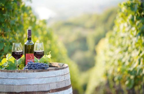 Erlabrunn House | Weingut Martin Blaß