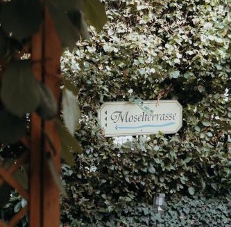 Niederemmel Hotel | Weingut Später-Veit