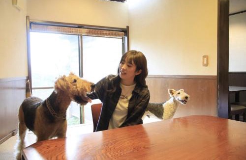 Shirahama Hotel | Welcome Inn SunnySteps