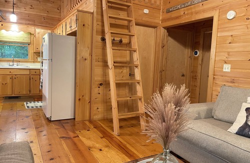 Hidden Lake House | Welcome to Bearadise! Charming cabin 10 minutes to downtown Blue Ridge!
