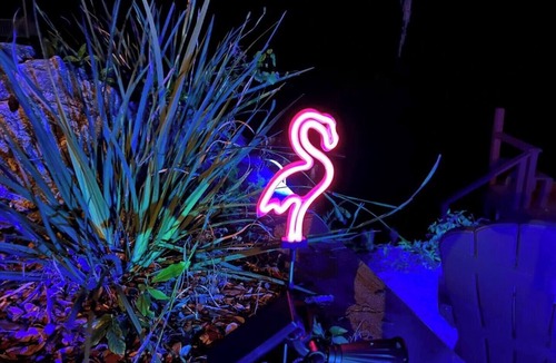 Dunnellon House | Welcome to Let's Flamingle, located directly on Blue Cove just off of Rainbow River