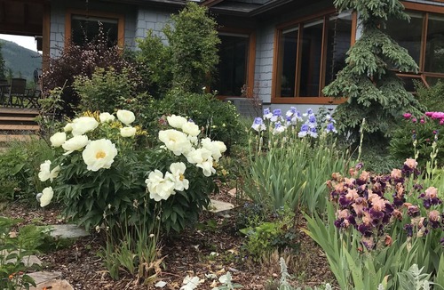 Proctor Apartment | Welcome to the Poppy Inn!