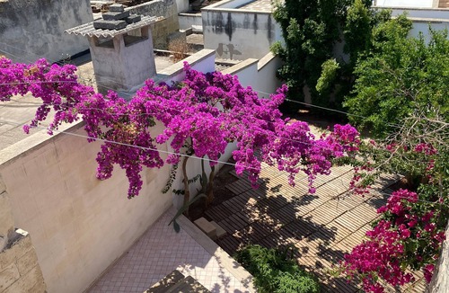Lizzanello Apartment | Welcomely - Celi Blu Apartments