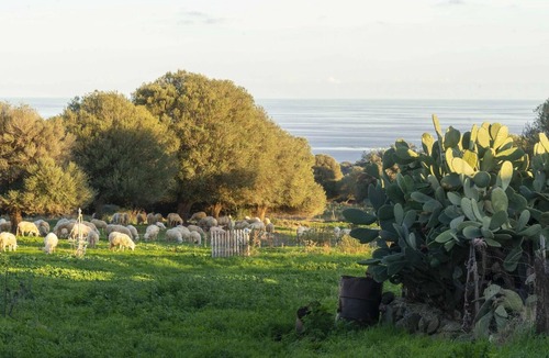Galtelli Villa | Welcomely - Cottage Matteotto
