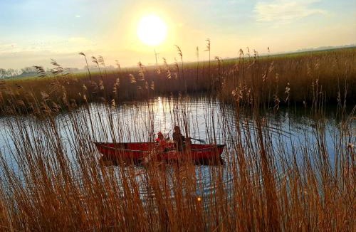 Holwerd House | Wellness op'e Klaai