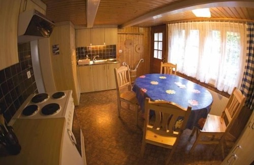 Meiringen Apartment | Wenger 5-bed flat