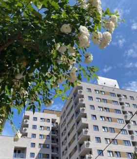 Vitan Apartment | WeRent Communities