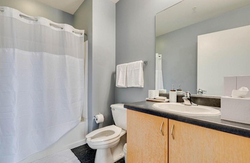 West Loop Apartment | West Loop - City Views With In & Out Parking 4