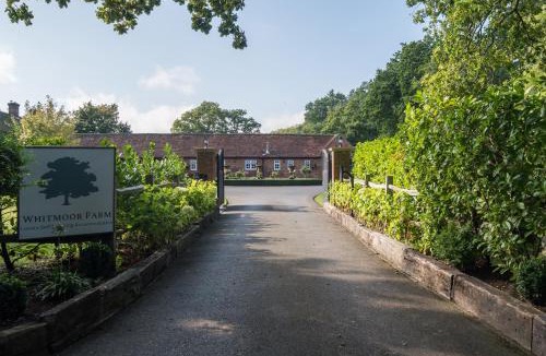 Guildford Apartment | Weston Cottage 4