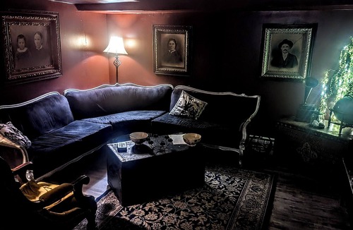 Saint John Apartment | Whimsical Witch's Coven in the heart of Uptown Saint John (Free Parking!)