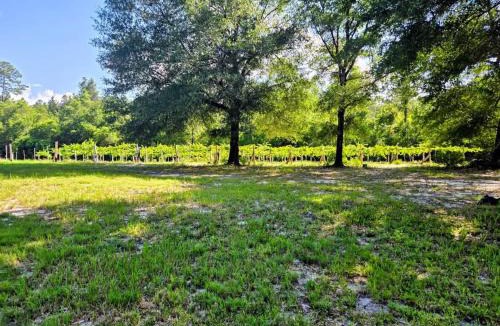 Moss Point House | Whippowill Cabin