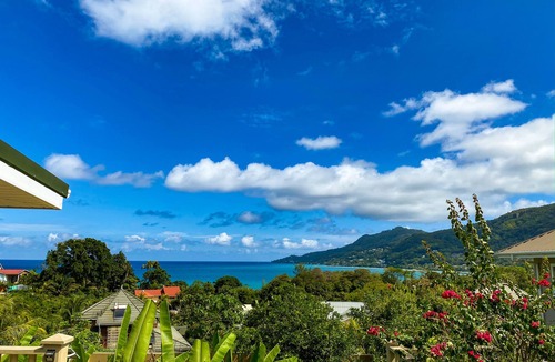 Beau Vallon Apartment | Whispering Palms Self Catering Apartment - Adults Only