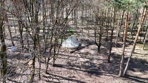 Kemlitz Other | Whispering Pines