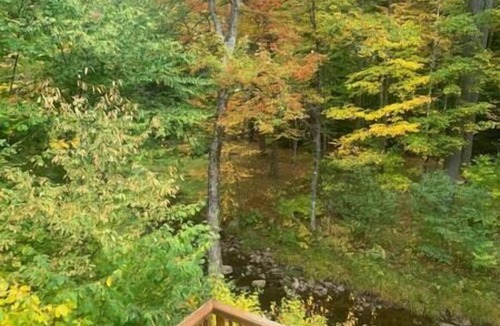 Grafton Cabin | Whispering Woods Cabin - Creekside & Pet Friendly