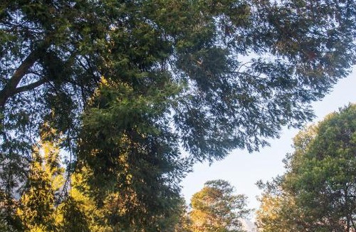 Worcester Central House | White Bridge Farm Accommodation