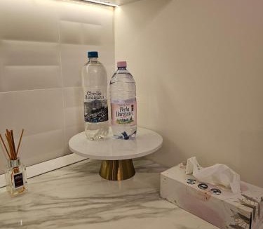 Bistrita Apartment | White Central Apartment