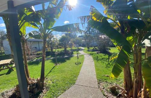 Motueka Hostel | White Elephant Accomodation