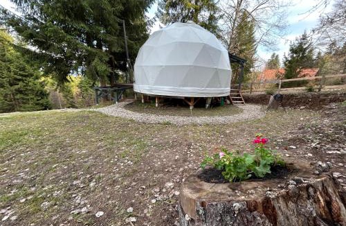Siculeni Other | White Fox Dome