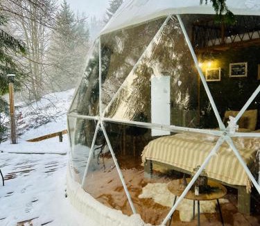 Siculeni Other | White Fox Dome