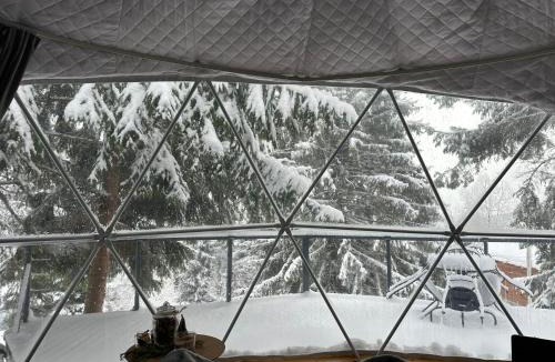 Siculeni Other | White Fox Dome
