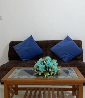 Mandsaur House | White house