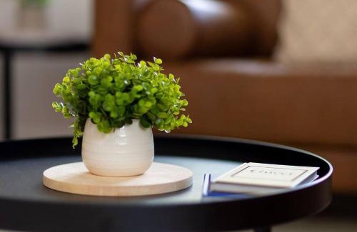 Albury House | White Rabbit on Jones- central sophistication