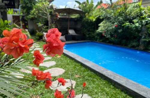 Ubud City-Centre Apartment | Why Not Villas