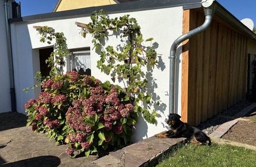 Serrig Apartment | Widdertshäuschen Vacation Home, Hilde Apartment with Sun Terrace