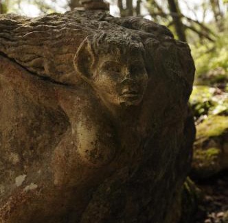 Arcy-sur-Cure Other | Wild Cure Camp